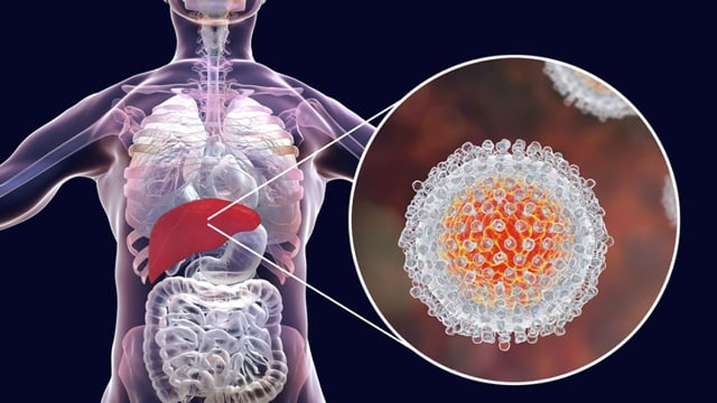 Mengenal Penyakit Hepatitis – Edukasi dari PAFI Rantepao untuk Masyarakat